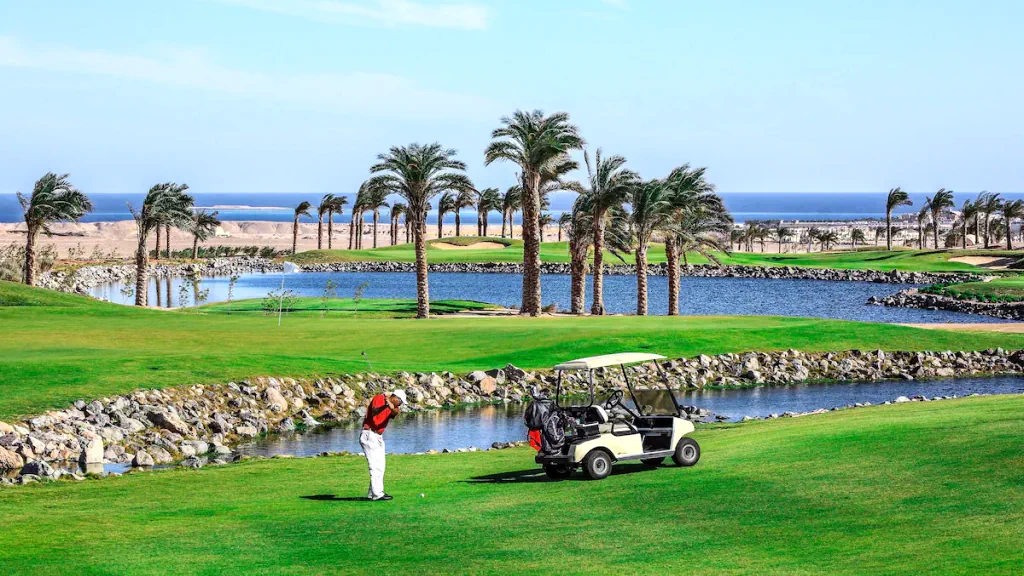 الفندق جاز اكوا فيفا - مكادي باي